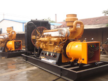 排浦镇发电机组的频率规格是如何确定的？